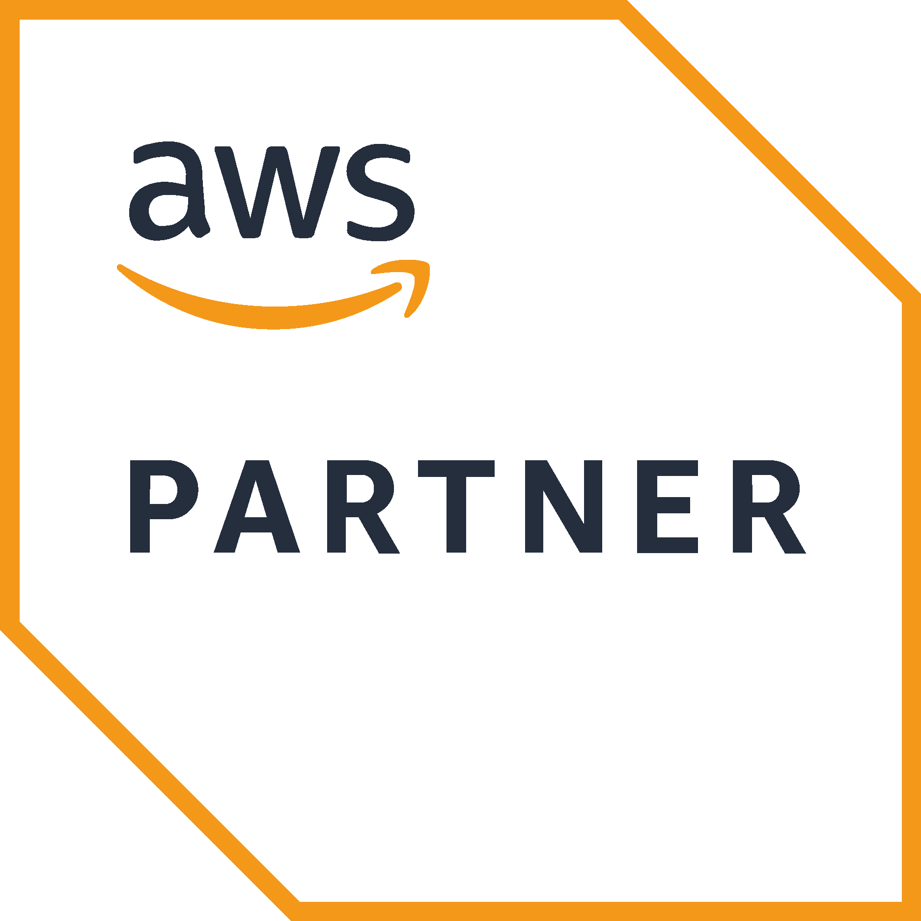 AWS Partner logo